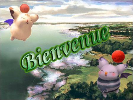 saliou vous dit
