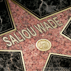 saliou wade the blog s owner
